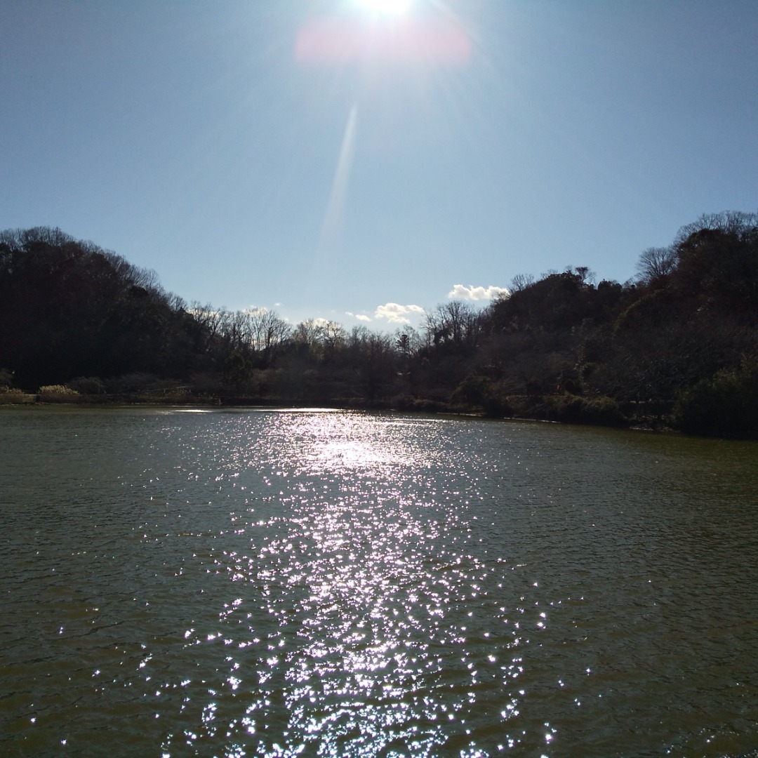 城池